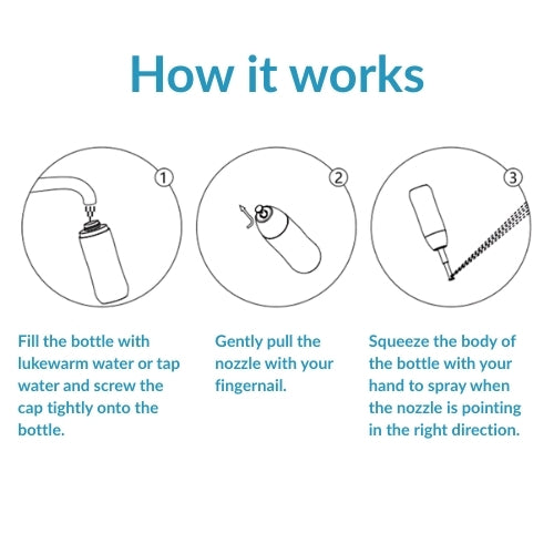 Japanese Pocket Toilets