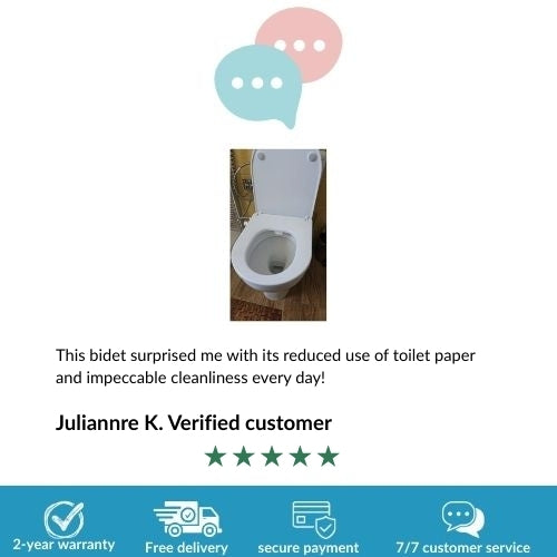 Japanese Intimate Toilet Seat