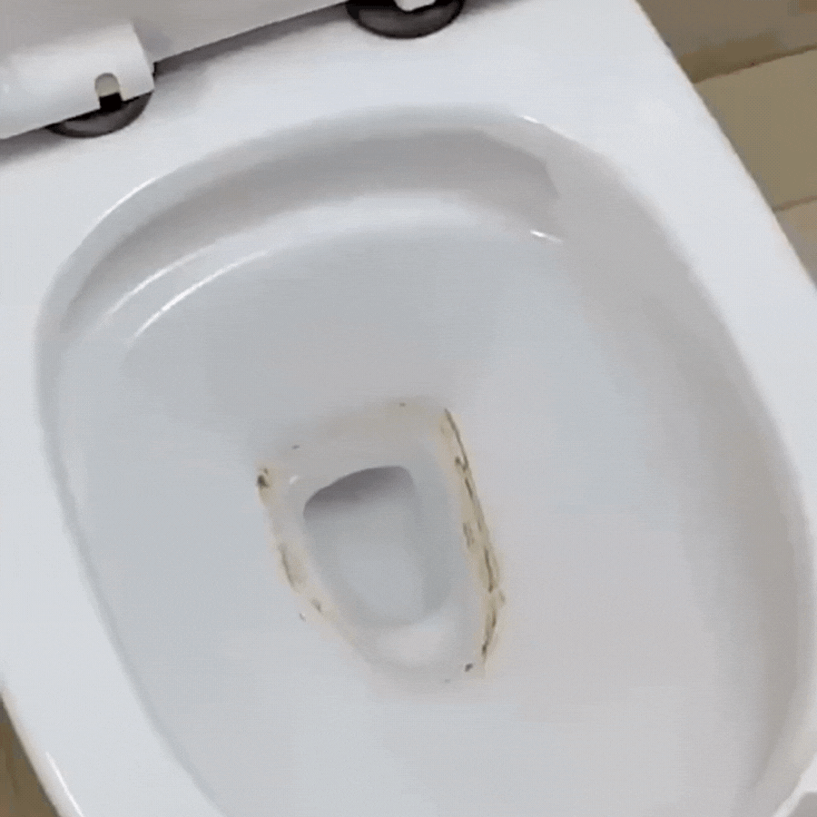Neotoilette Pomza Tuvalet Fırçası